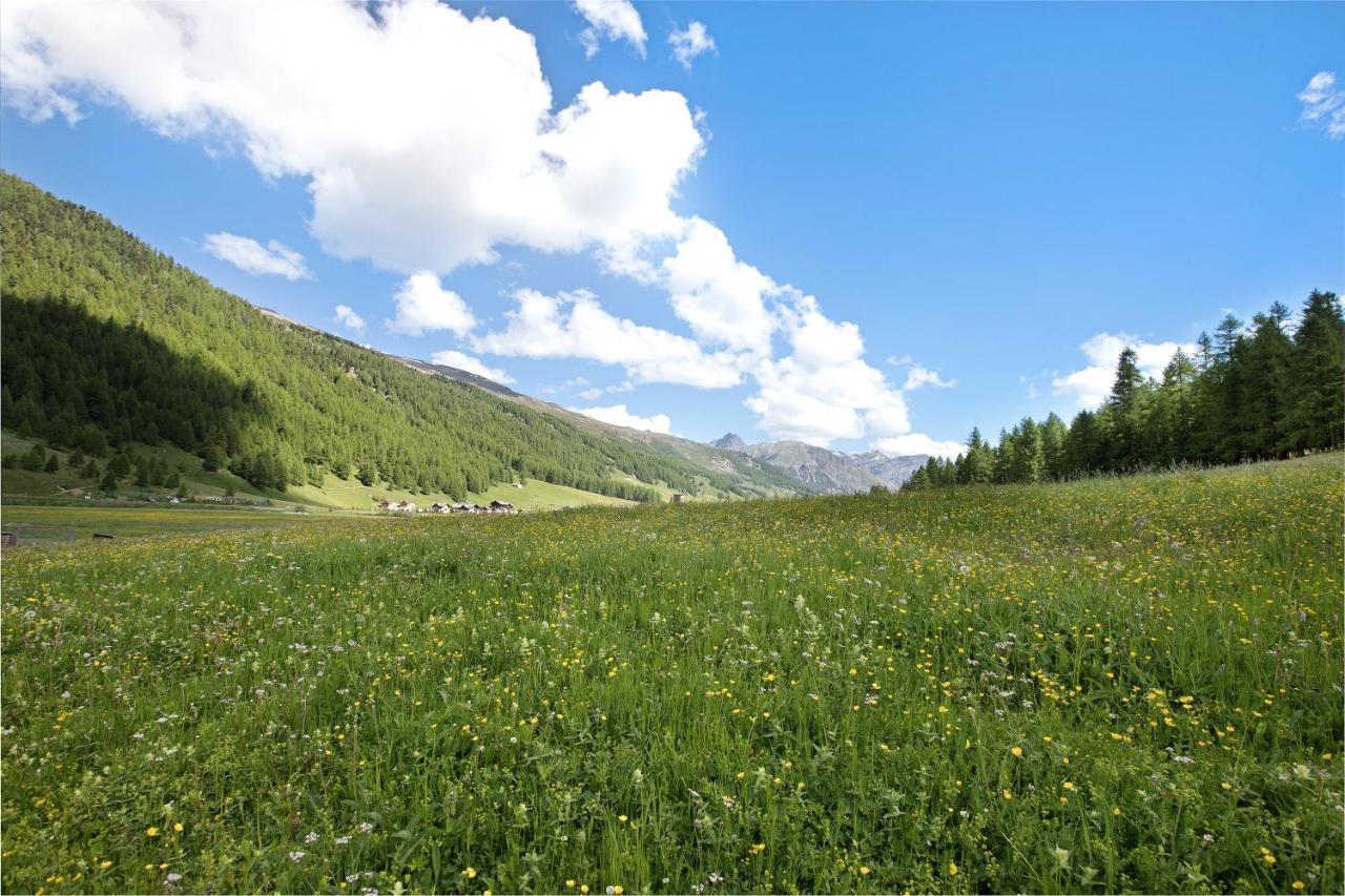 Agriturismo Bosco D'Oro 1 Apartment Livigno Ngoại thất bức ảnh